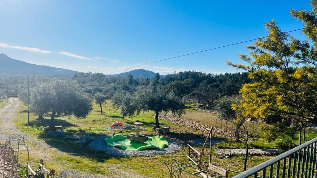 Zion Jardim Monsanto Acomodação com café da manhã Exterior foto