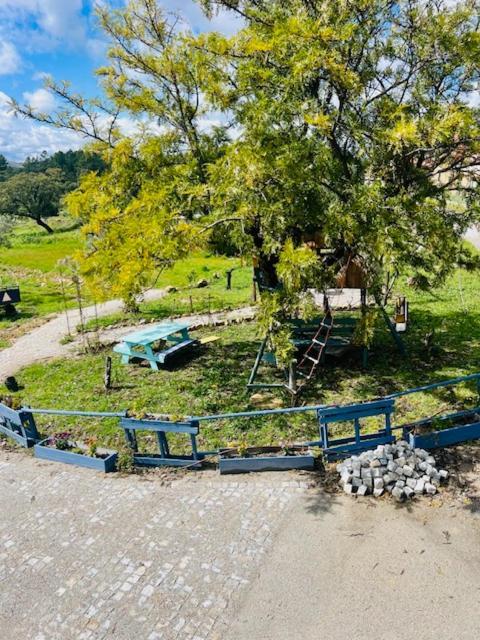 Zion Jardim Monsanto Acomodação com café da manhã Exterior foto