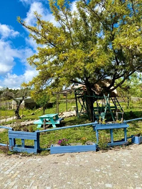 Zion Jardim Monsanto Acomodação com café da manhã Exterior foto