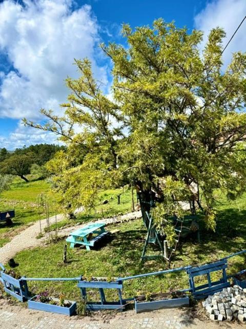 Zion Jardim Monsanto Acomodação com café da manhã Exterior foto