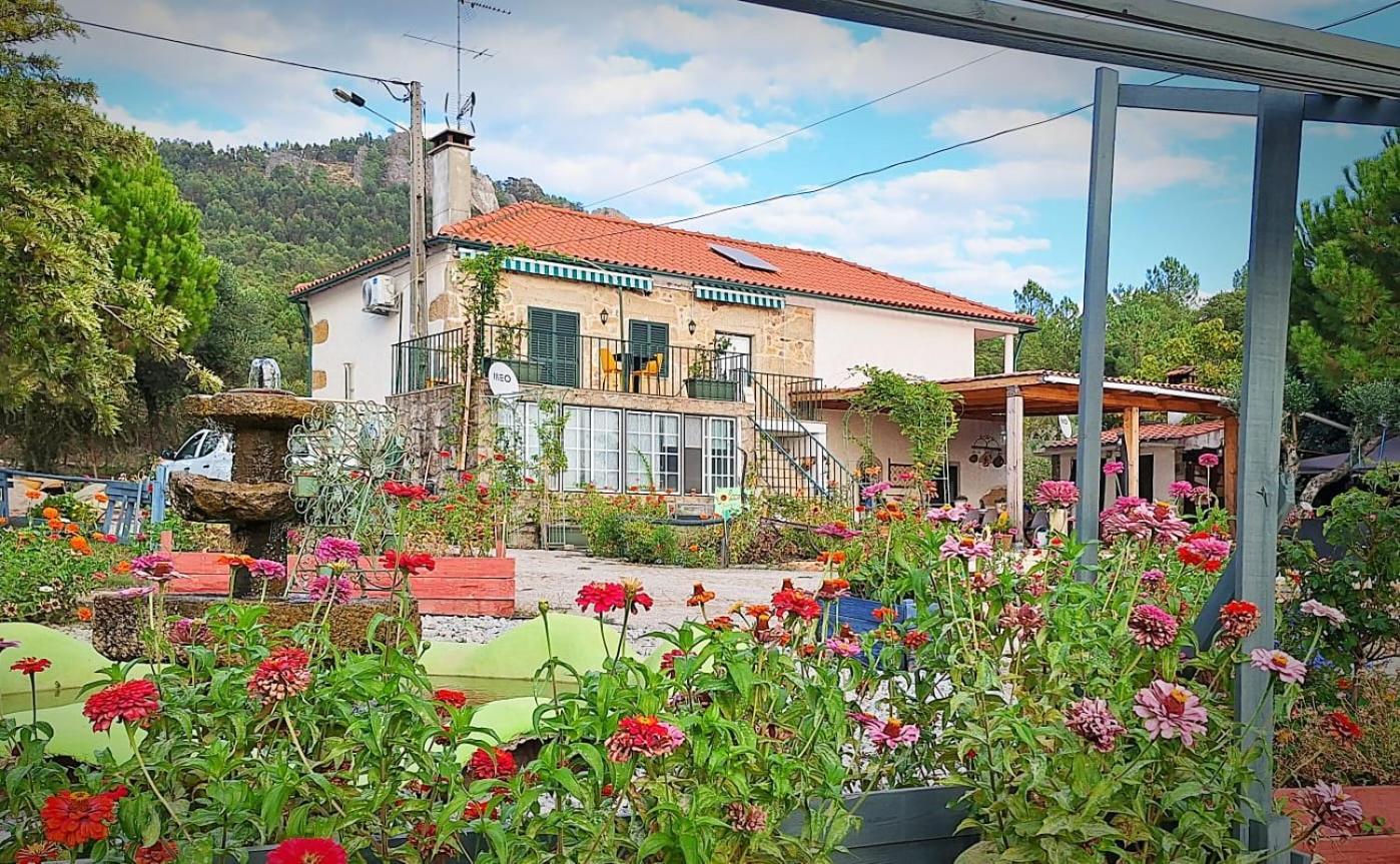 Zion Jardim Monsanto Acomodação com café da manhã Exterior foto