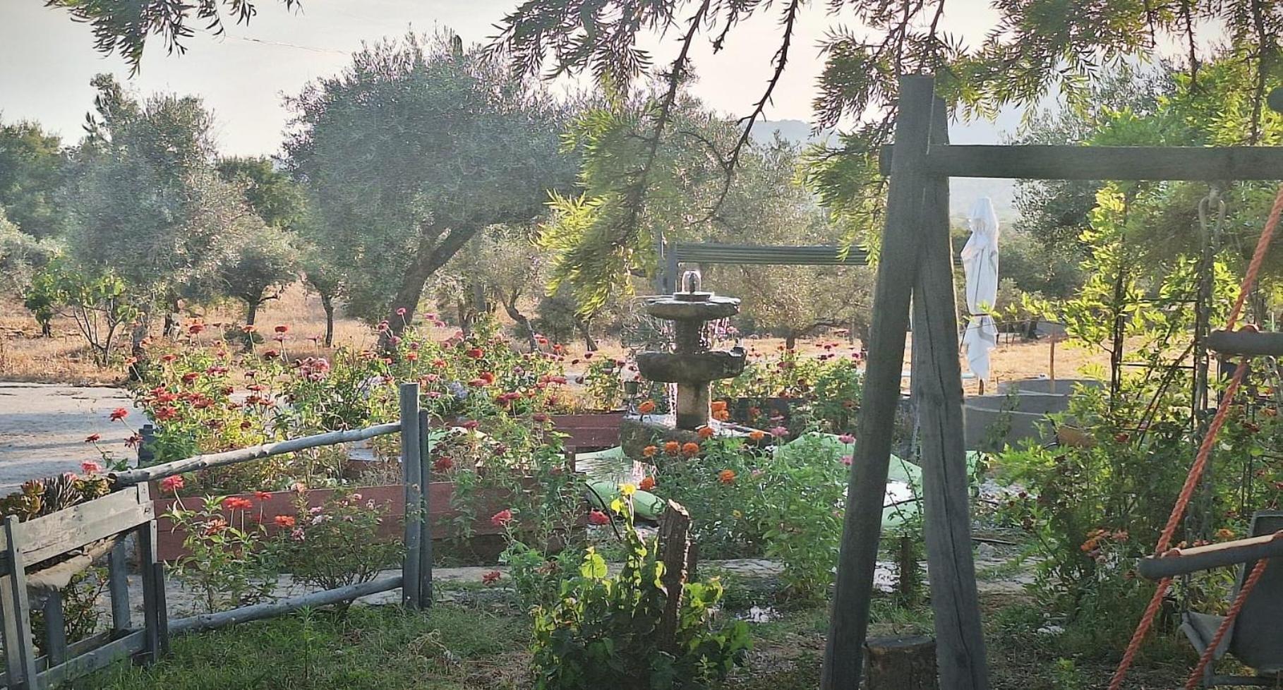 Zion Jardim Monsanto Acomodação com café da manhã Exterior foto